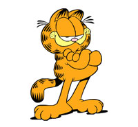 Garfield chat roux