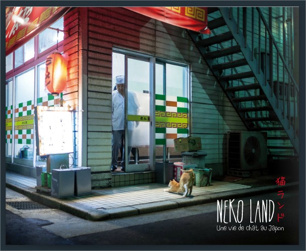 ISSUU - Nekoland - Une vie de chat au Japon by isseki nicho