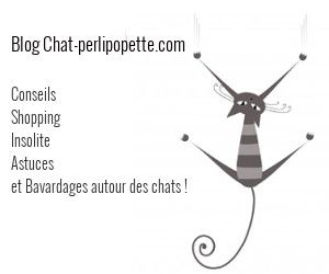 chat perlipopette